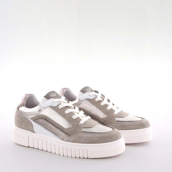 Siri Taupe/Gold Suede/Leather/Technical materials  Low Sneakers