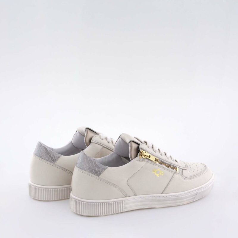 Orkut Beige - Image 3