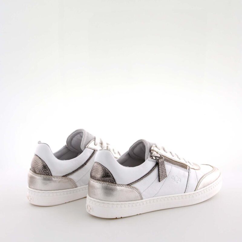 Bear White - Image 3