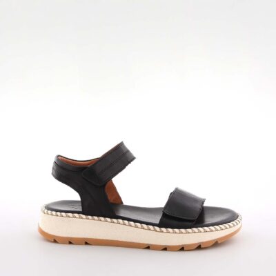 Aleta Black