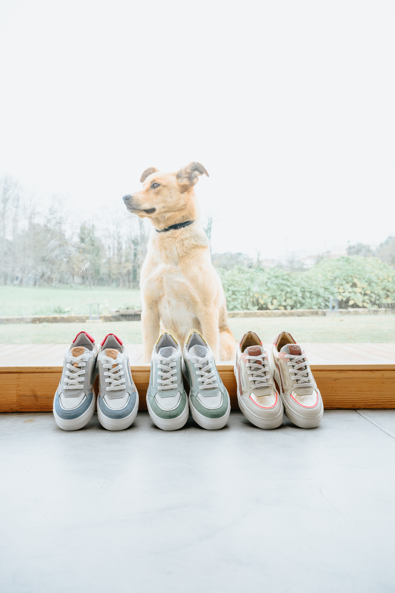 A row of three pairs of AQA Shoes women's casual sneakers in blue, grey, and beige tones lined up on a floor. A light brown dog sits behind the shoes looking out of a large bright window overlooking greenery.